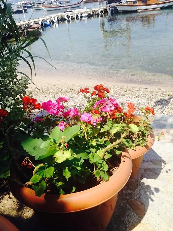 Privatunterkunft Ferienwohnung Tuzla Yacht Club Istanbul